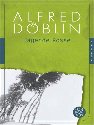 cover image of Jagende Rosse